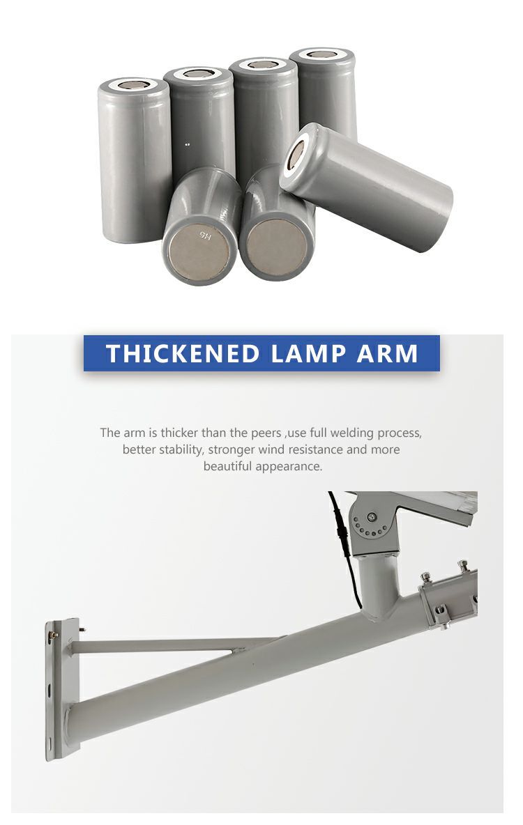 410 Dual body street lamp